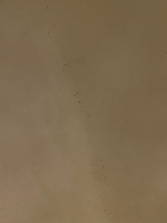 Zimmer Best Western Plus Hotel Khan