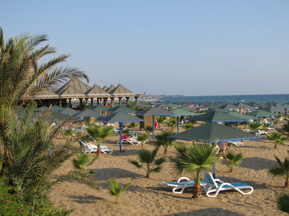 Ein Traumstrand Paloma Oceana