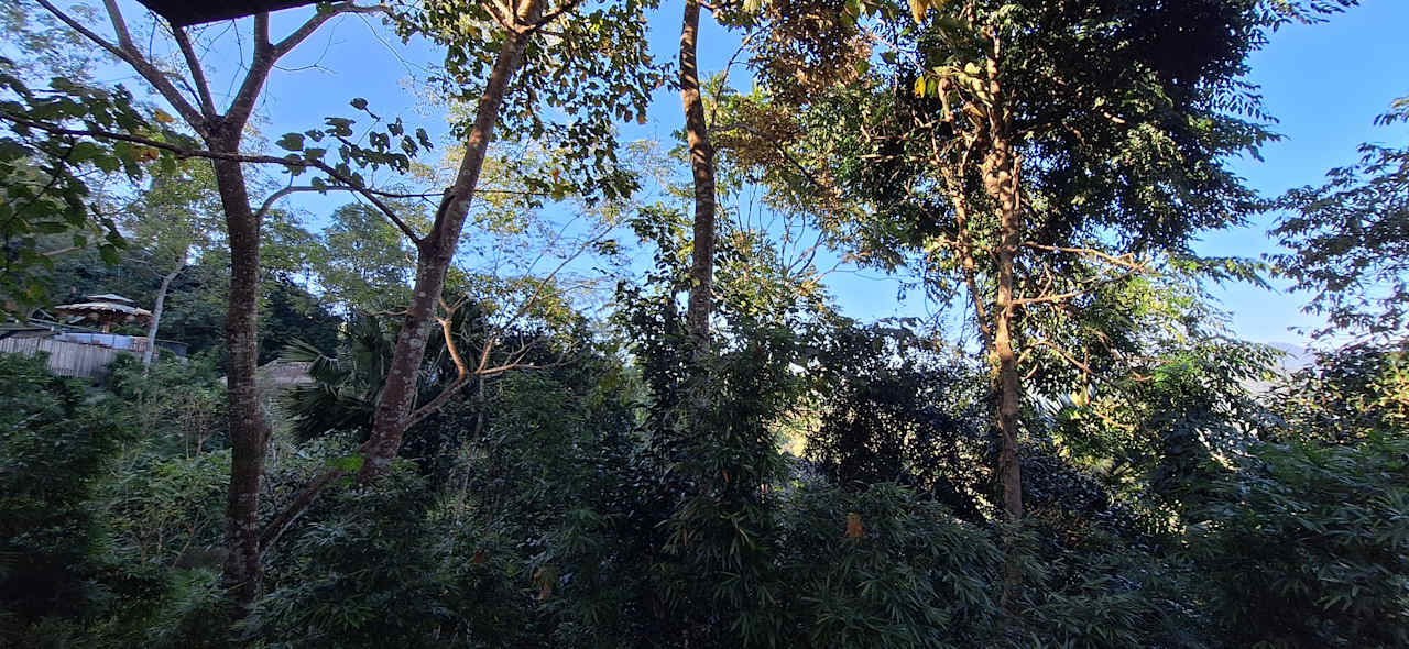 Gartenanlage Pu Luong Eco Garden