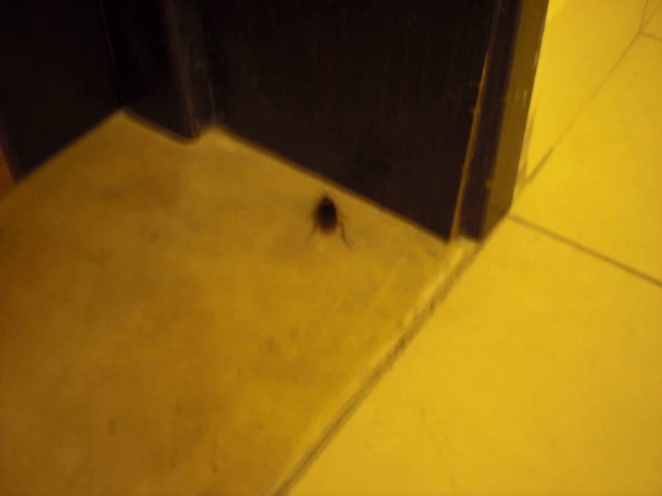 Badezimmer Hotel Green Palm