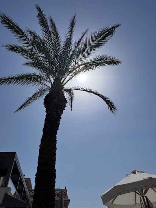 Gartenanlage Side Story Resort & Spa