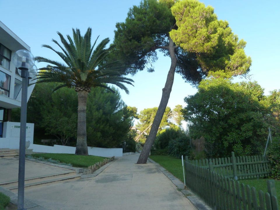 Schöner Weg zum Strand Hotel Exagon Park