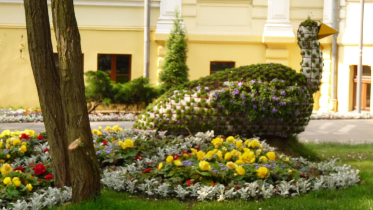 Pfau aus Blumen Vestina Wellness & Spa Hotel