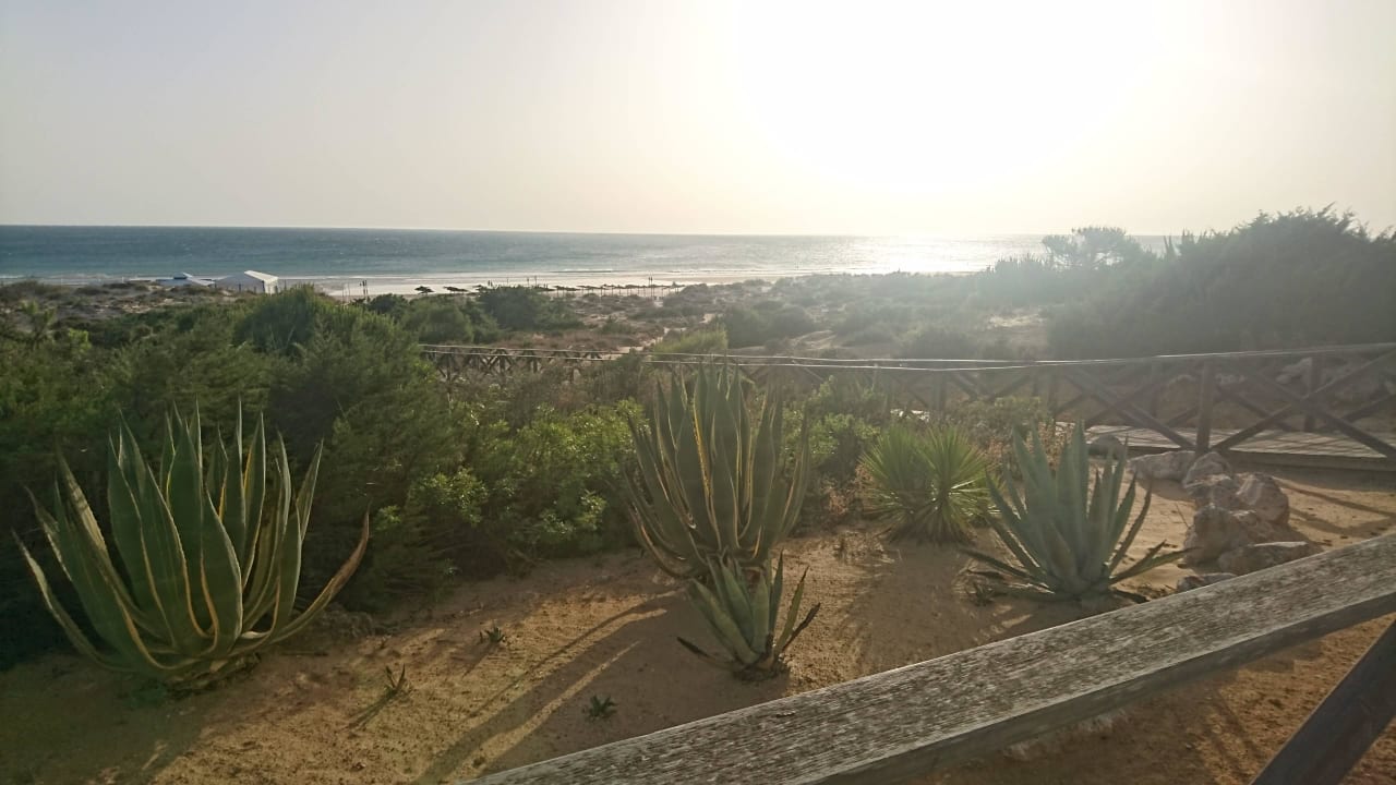 Ausblick zum Strand Iberostar Waves Royal Andalus