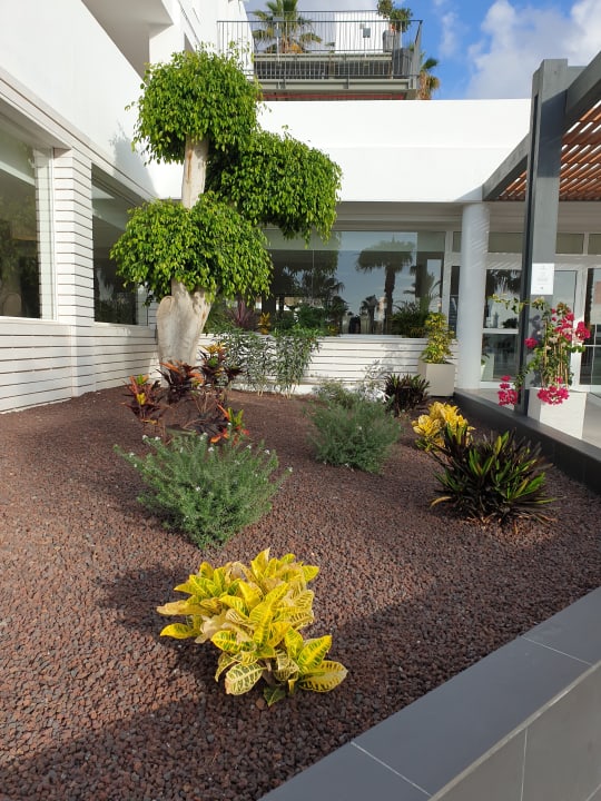 Gartenanlage Sol Fuerteventura Jandia - All Suites