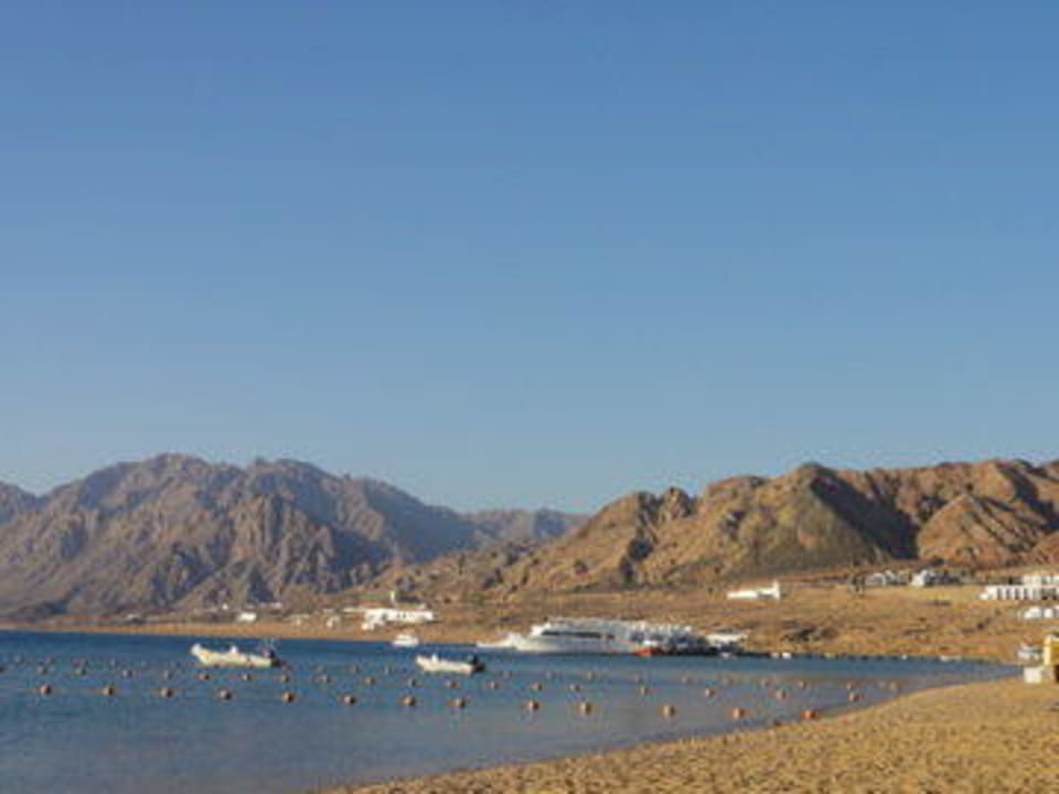 Aussicht vom Strand JAZ Dahabeya
