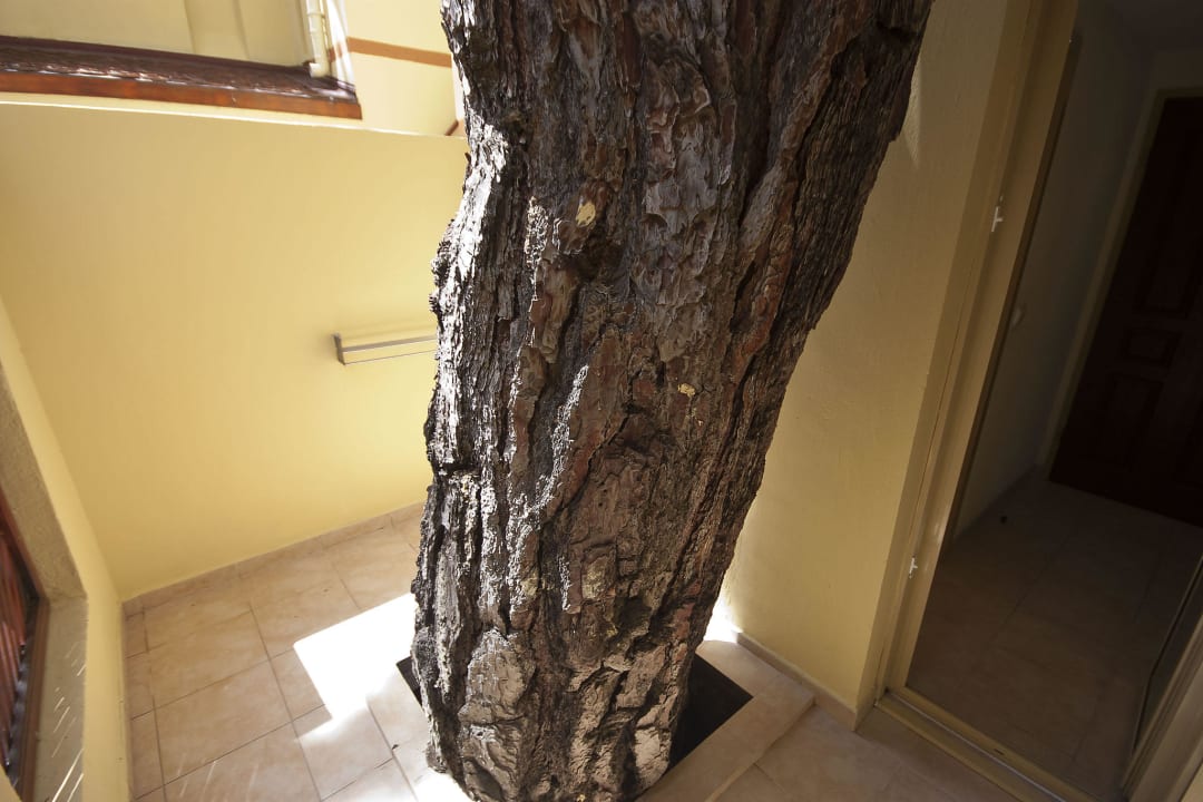 Terrasse mit Wäscheleine ROBINSON ÇAMYUVA