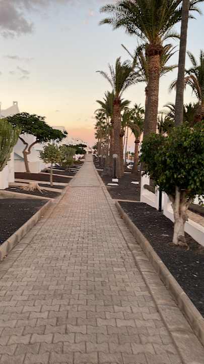 Außenansicht Aparthotel Costa Mar