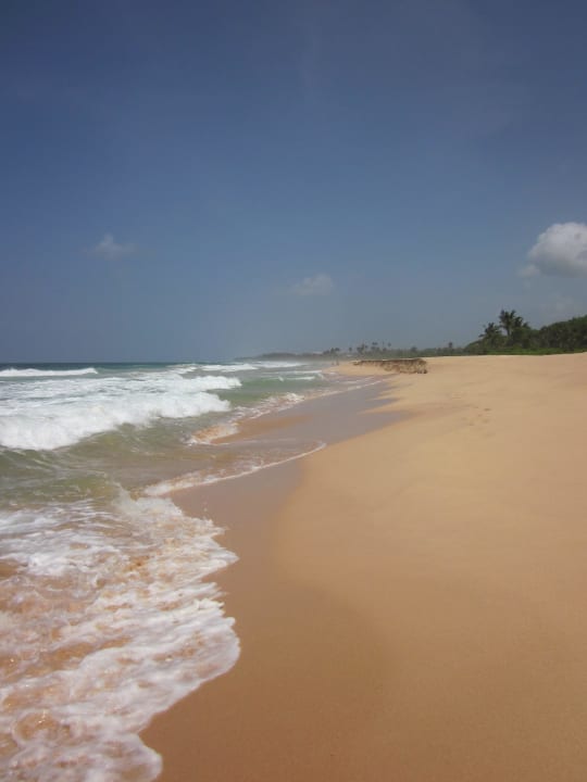 Traumhafte erholsame Spaziergänge sind garantiert Hotel Haus am Meer Wilde Ananas