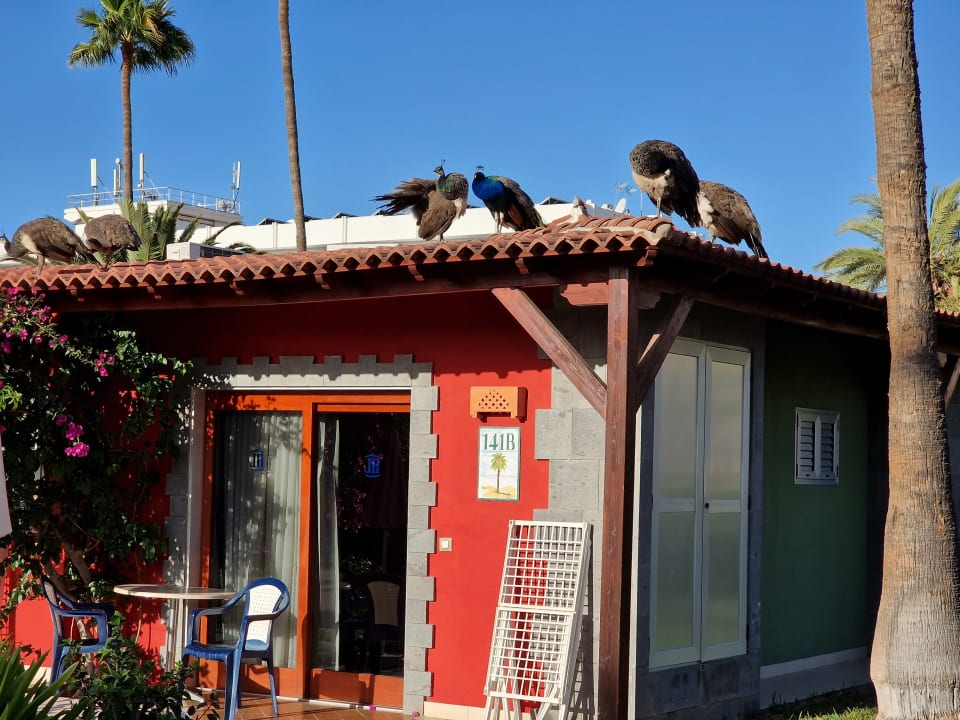 Außenansicht HL Miraflor Suites Hotel