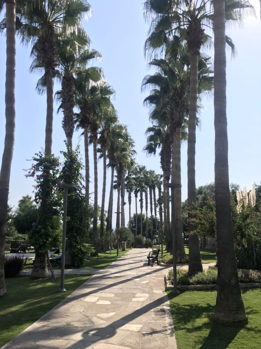 Gartenanlage Arum Barut Collection