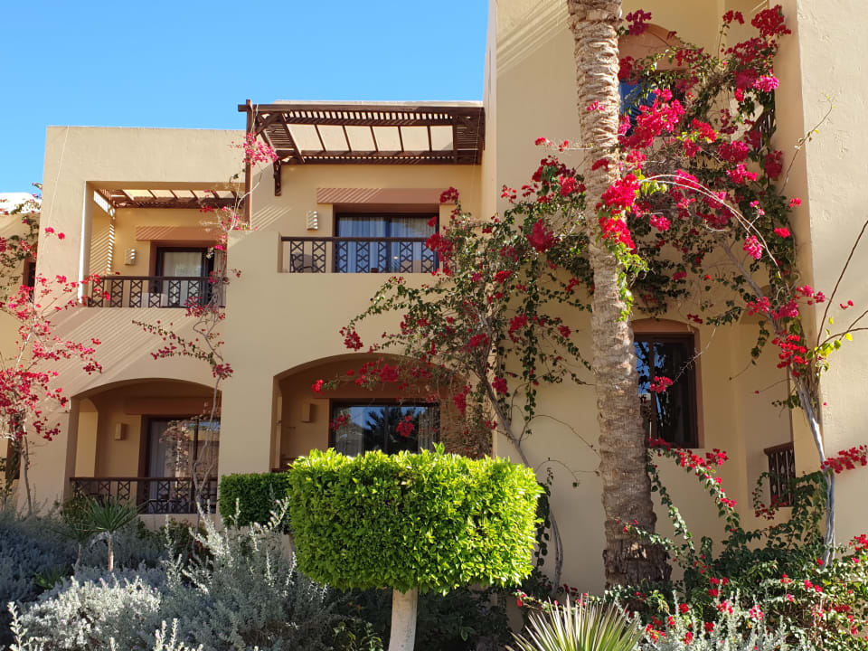 Gartenanlage Steigenberger Coraya Beach - Adults only