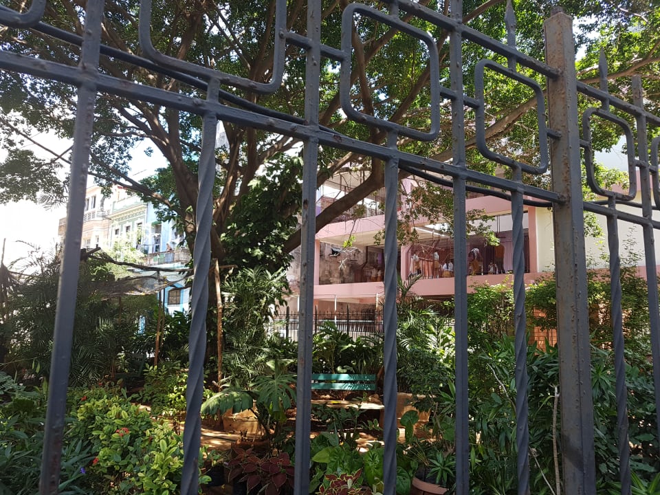 Garten Hostal Calle Habana