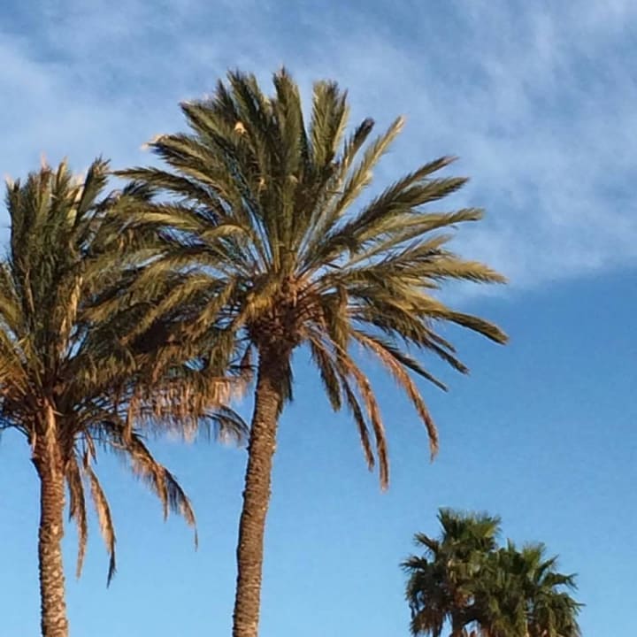 Natur pur Gloria Palace San Agustin Thalasso & Hotel