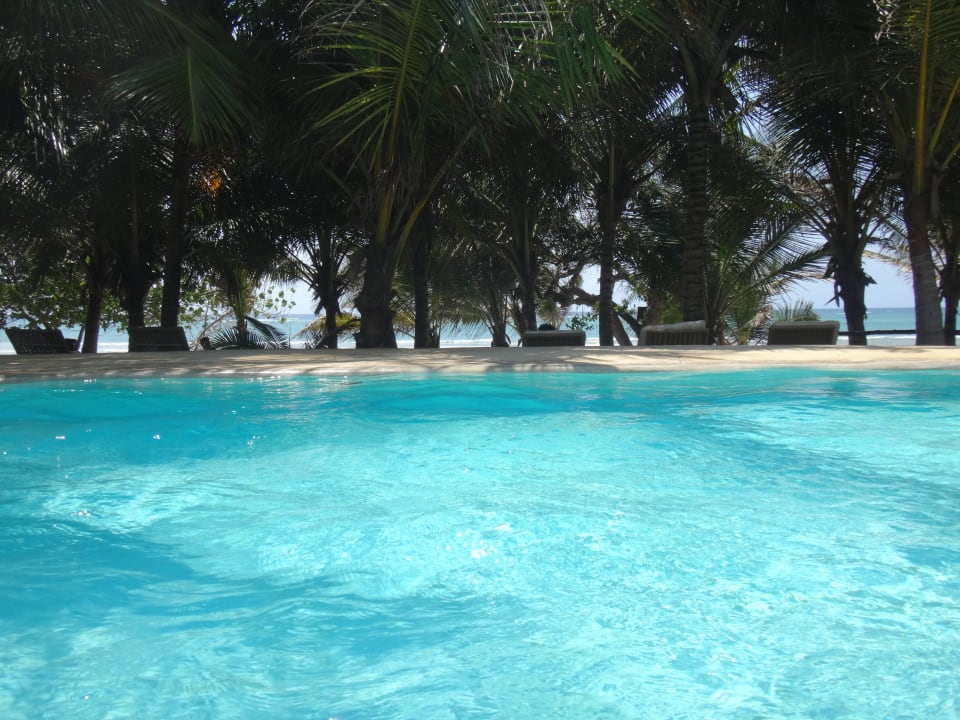 Basen z widokiem na morze Swahili Beach Resort