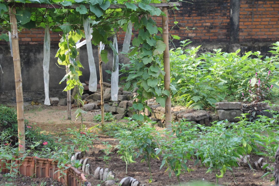 "Vegetable garden" Siddhalepa Ayurveda Health Resort (Wadduwa