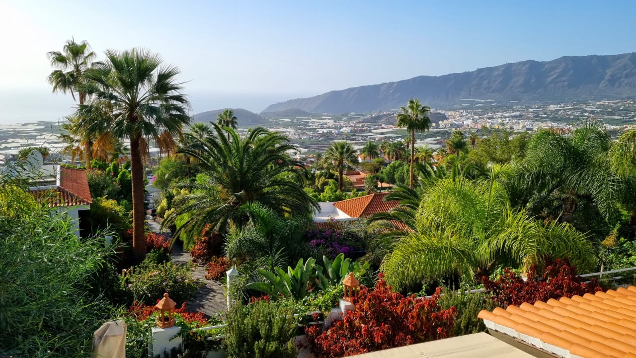 Ausblick La Palma Jardin