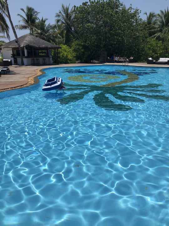 Pool Palm Beach Resort & Spa Maldives