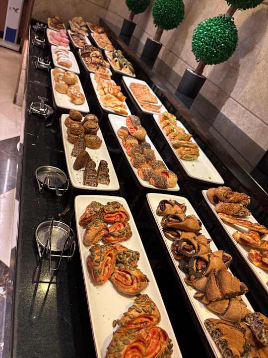 Gastro Papillon Ayscha