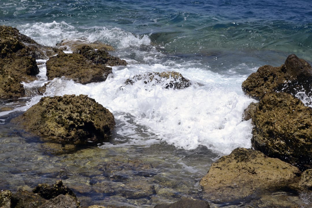 Strand - Aussenriff Pickalbatros Citadel Resort