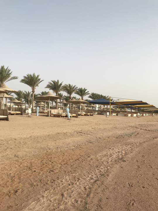 Strand Pickalbatros Royal Moderna Resort-Sharm El Sheikh