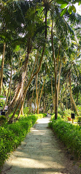 Gartenanlage Filitheyo Island Resort