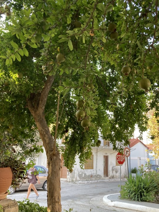 Außenansicht Hotel Venetia