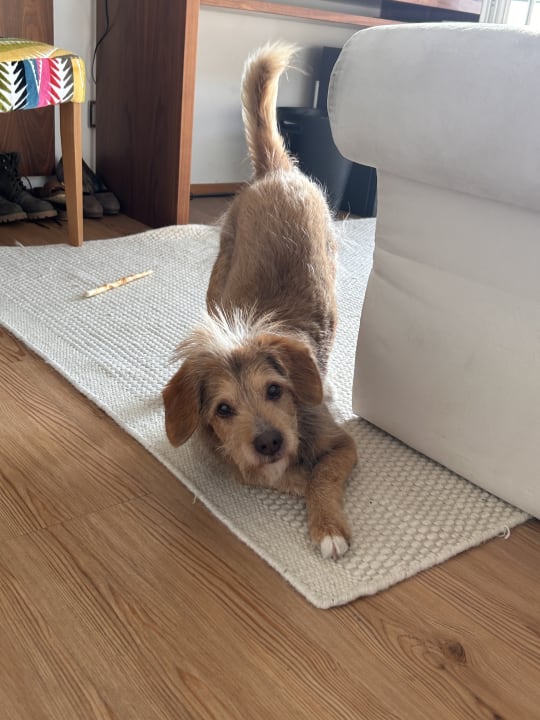 Zimmer Hotel Seevilla Wolfgangsee