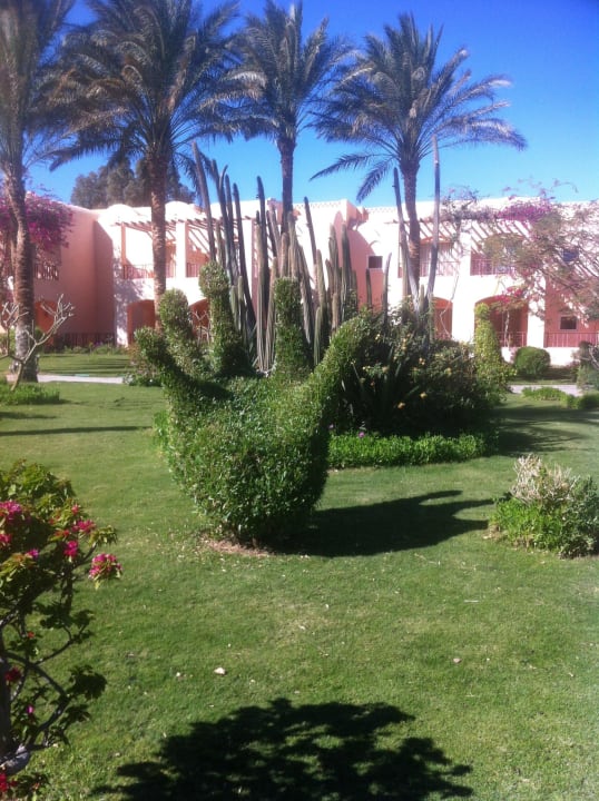 Einmalige Figuren im Garten Jaz Makadi Oasis Resort