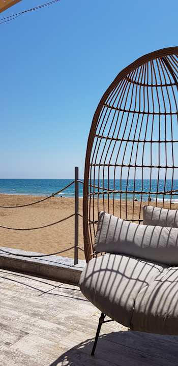 Strand Seashell Vega