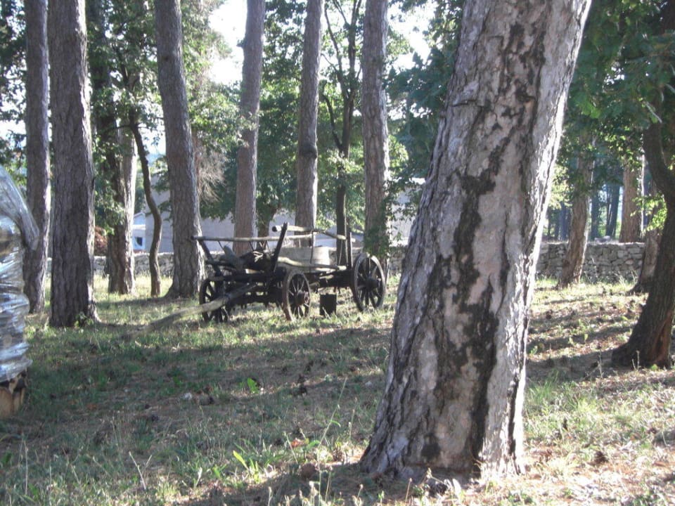 vorm Hotel Landpension Pineta