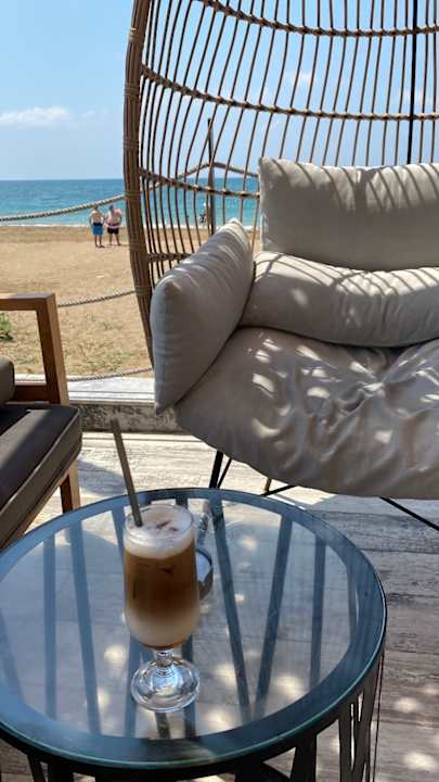 Strand Seashell Vega