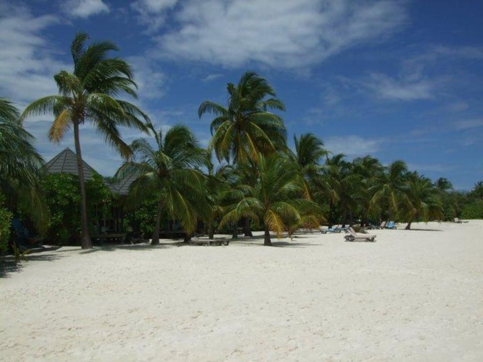 Strand vor den Beachvillen Kuredu Island Resort & Spa