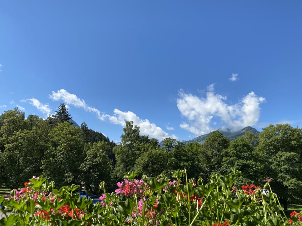Ausblick Hotel Trettachstüble