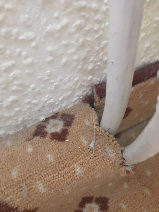 Zimmer Krögers Hotel