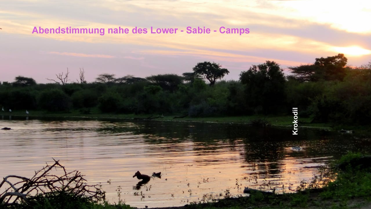 Hippopool mit Wildbeobachtung, ca.1km Restcamp Lower Sabie