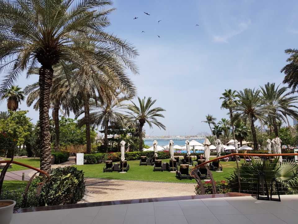 Gartenanlage Le Meridien Mina Seyahi Beach Resort & Waterpark