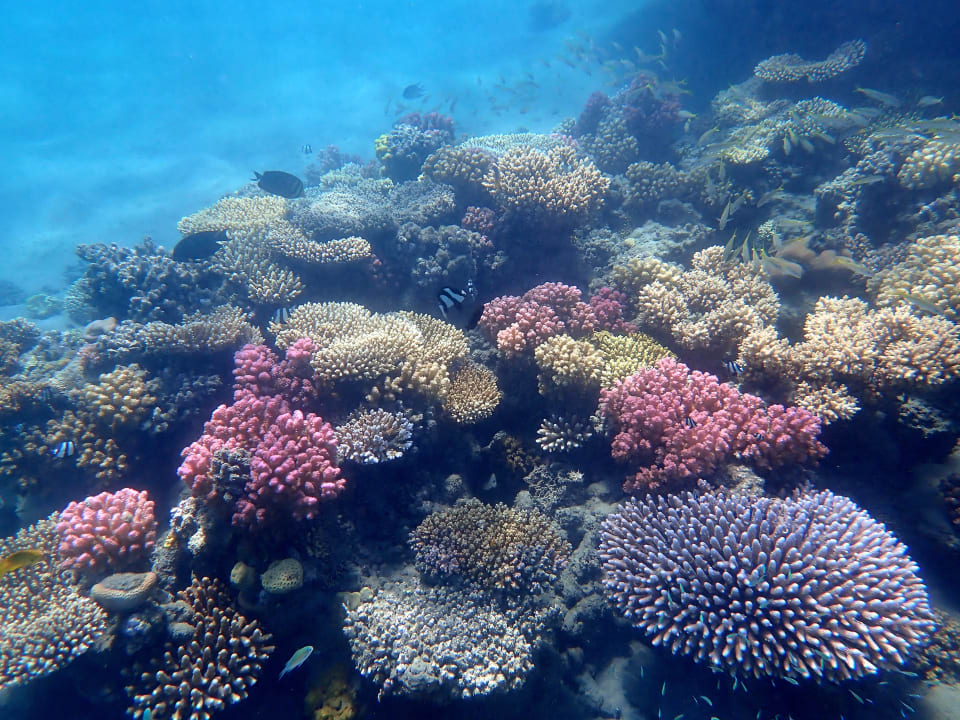 Strand Shams Alam Beach Resort