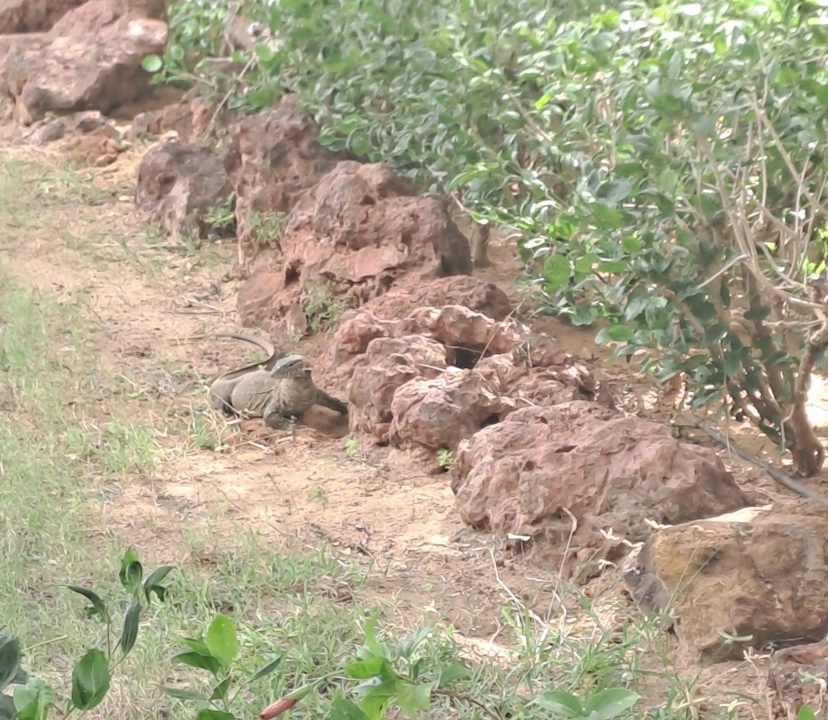 Sonstiges Hotel Riu Baobab - All Inclusive