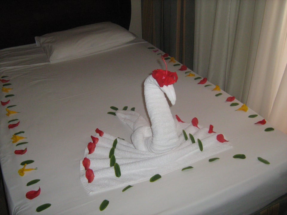 Hotel Stella Makadi Beach Resort Stella Beach Resort & Spa Makadi Bay