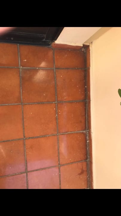 Dreck überall Meliá Caribe Beach Resort-All Inclusive