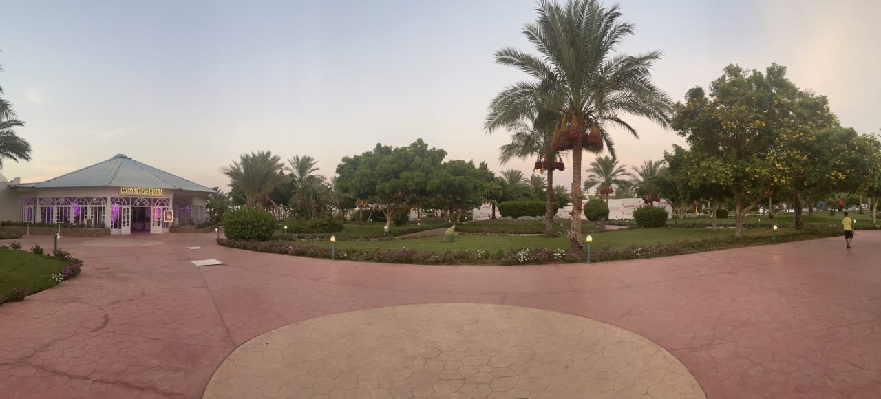 Gartenanlage Desert Rose