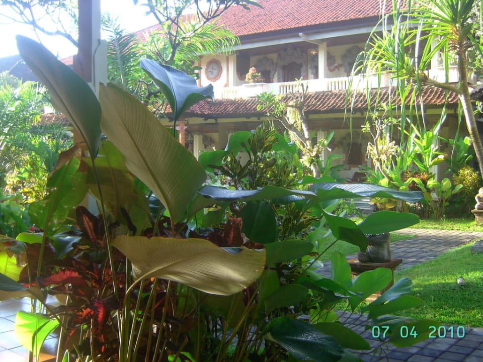 Gartenansicht Villa Shanti Beach