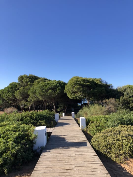 Gartenanlage Hipotels Gran Conil Hotel
