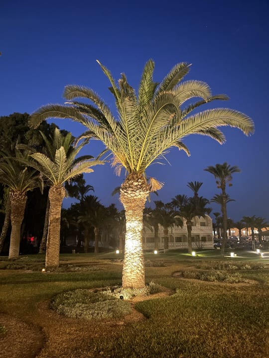 Gartenanlage Hotel Marhaba Club