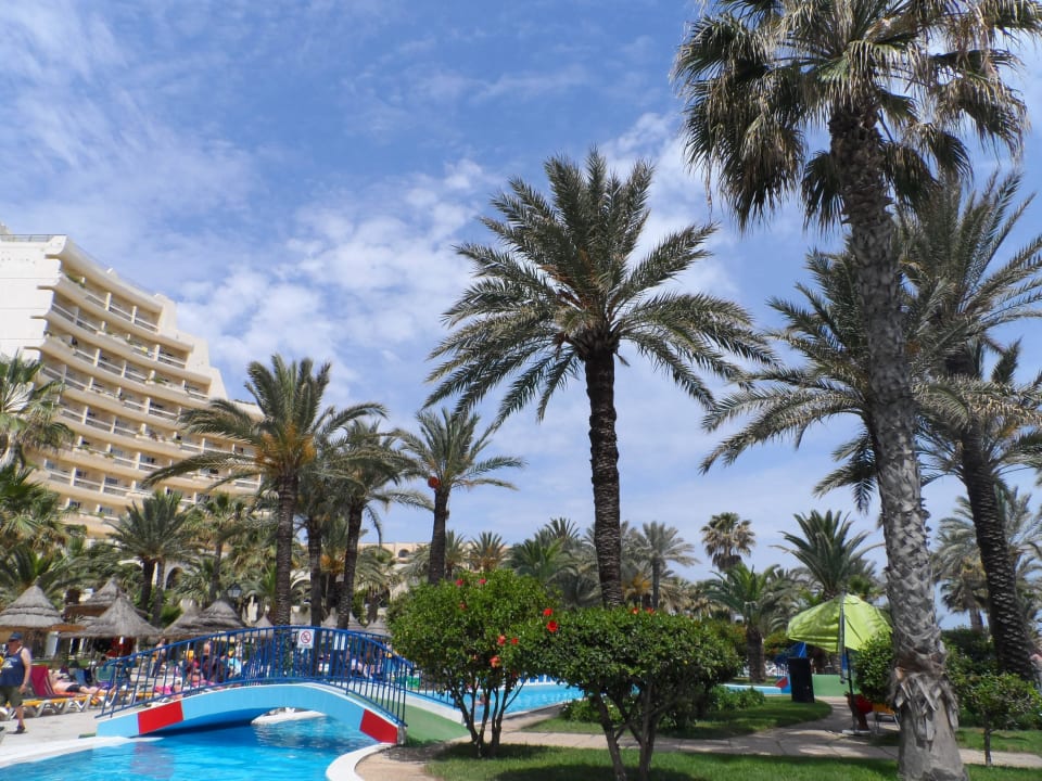 Basen Riadh Palms Resort & Spa