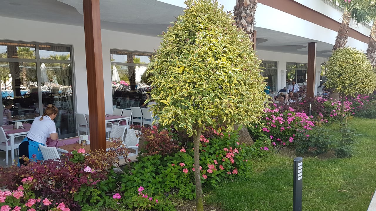 Sonstiges Dream World Aqua Hotel