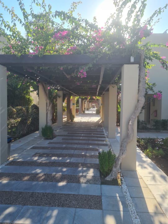 Gartenanlage Astir Odysseus Kos Resort & Spa