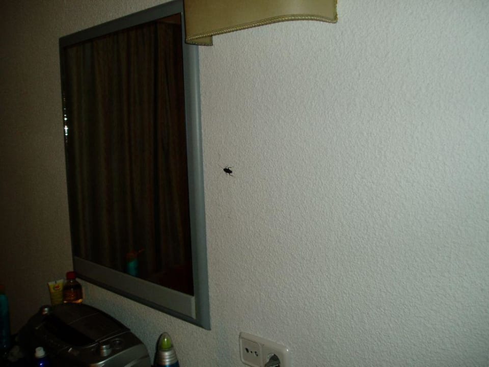 Karkerlake! allsun Hotel Lux de Mar