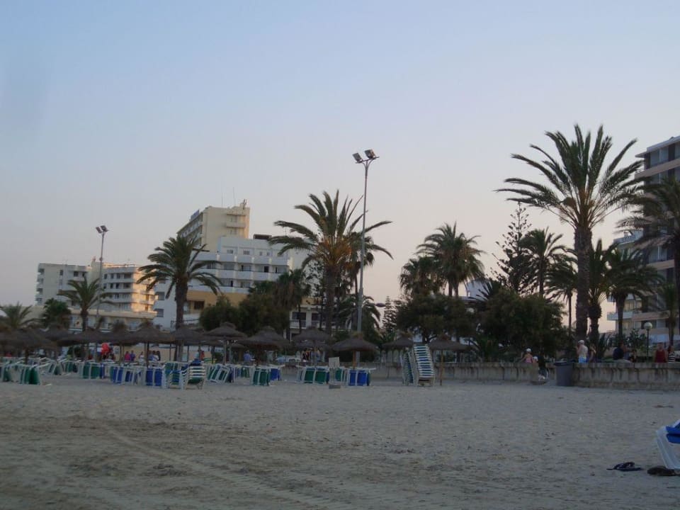 Am Strand BLUESEA Cala Millor